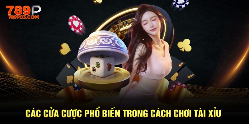 Những cửa cược phổ biến và thú vị trong cách chơi tài xỉu Những cửa cược phổ biến và thú vị trong cách chơi tài xỉu